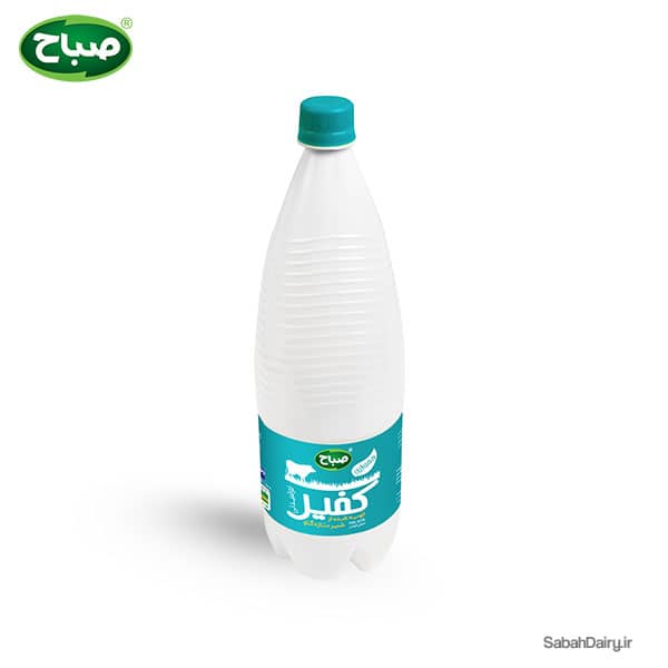 Traditional Iranian Mint Yogurt Drink (Doogh)(Kefir&Fermented)
