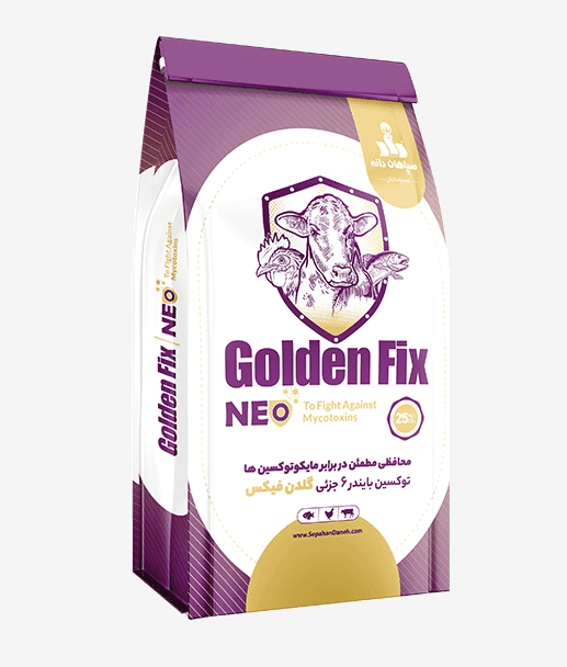 Golden Fix Neo