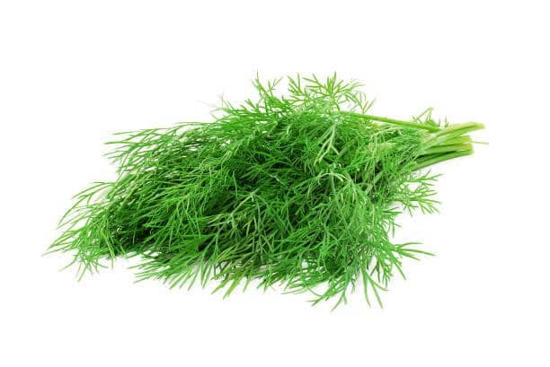 Frozen Sliced Spring Onion
