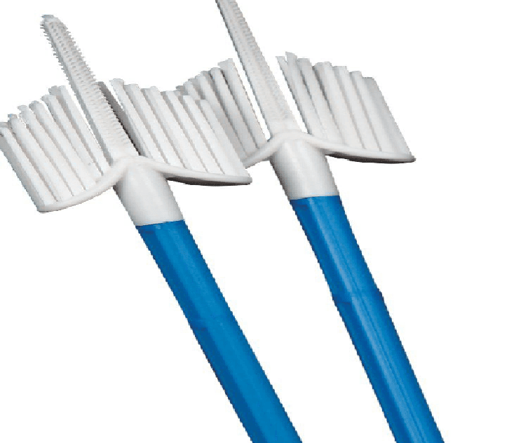 Cervical Cytology Brush for Pap Smear and Liquid-Based Cytology (Cervix Brush)