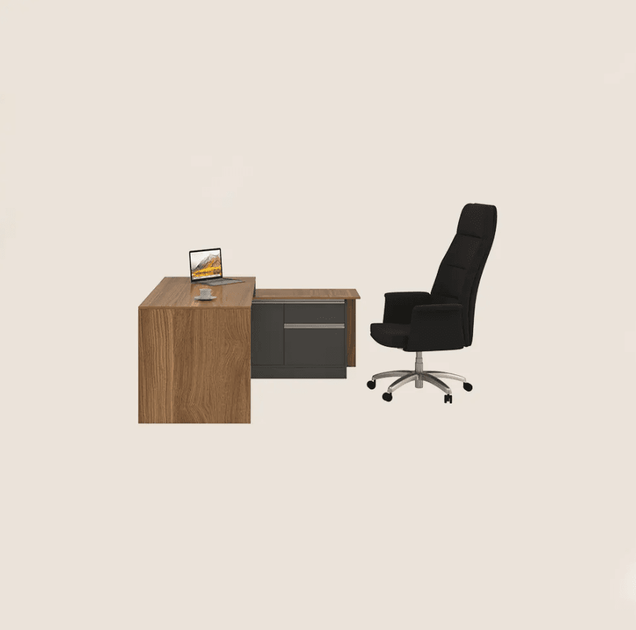 Admenstrive Desk - Taraaneh executive desk