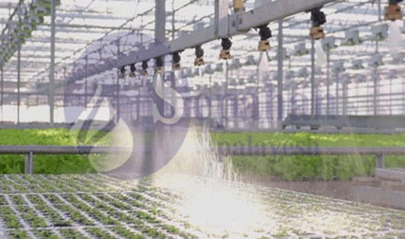 Agricultural Desalination Water