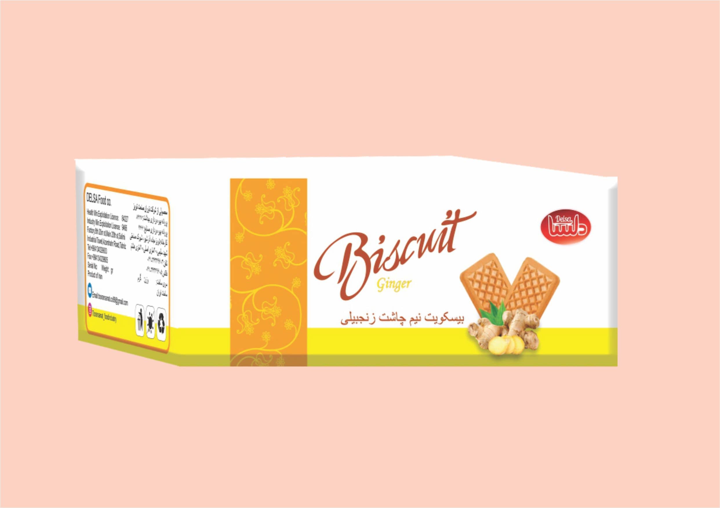 Delsa Ginger Snack Biscuits