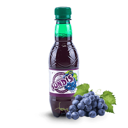 SUNDIS Assorted Sparkling Fruit Drinks  PET Bottle (Mini Size)