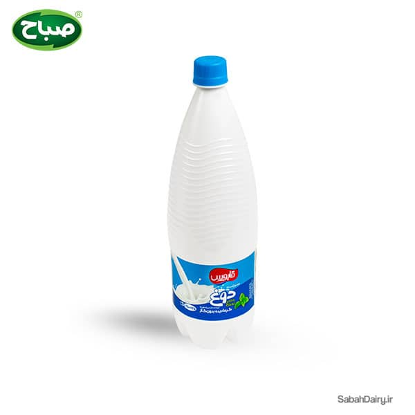 Traditional Iranian Mint Yogurt Drink (Doogh)(Kefir&Fermented)