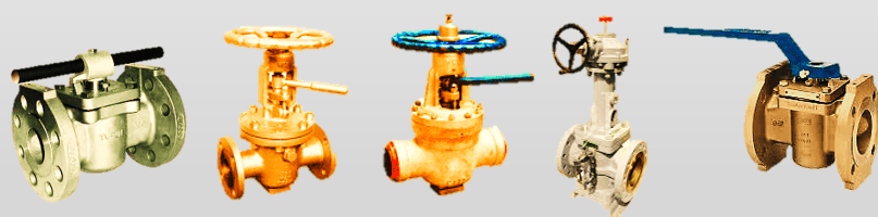 Industrial Plug Valve