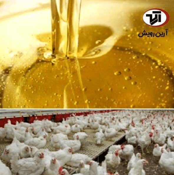 Poultry oil