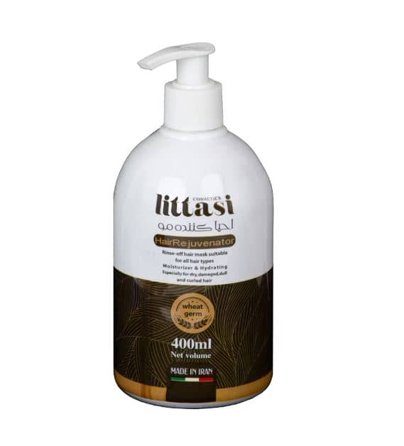 Littasi Professional Leave-In Hair Repair Mask with Hydrolyzed Keratin, Argan Oil, Coconut Oil, Aloe Vera, Vitamins E & B5  Intensive Moisturizing, Anti-Frizz & Shine-Enhancing Hair Treatment for All Hair Types (300 ml)