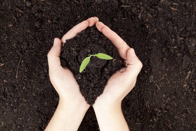 Premium Enriched Organic Vermicompost – High-Quality Organic Soil Conditioner & Natural Fertilizer