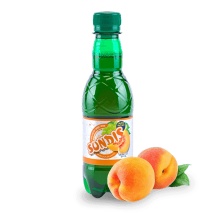 SUNDIS Assorted Sparkling Fruit Drinks  PET Bottle (Mini Size)