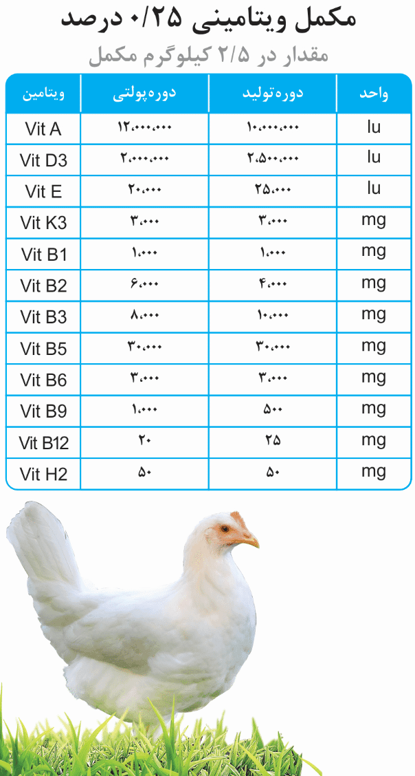 Laying hen food supplement - special LSL strain formula