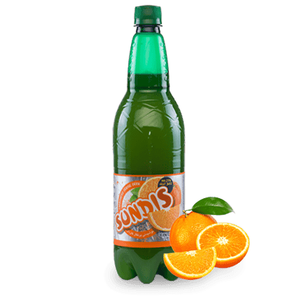 SUNDIS Assorted Sparkling Fruit Drinks 1 Liter PET Bottle