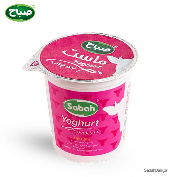 Cup Pasteurized Semi-Skimmed(semi-fat) Yogurt- 600 gr