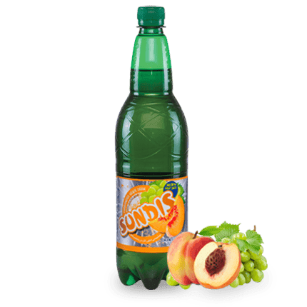 SUNDIS Assorted Sparkling Fruit Drinks 1 Liter PET Bottle