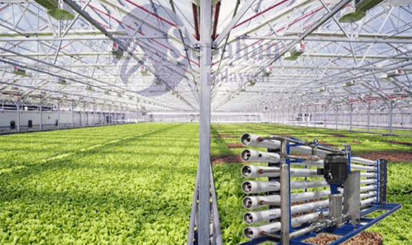 Agricultural Desalination Water