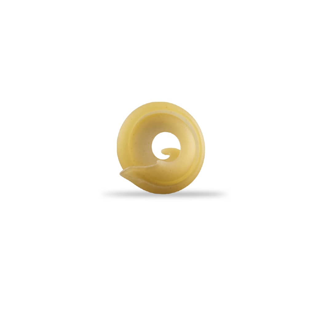 Tak Disk Pasta - Premium Spiral Disk Pasta from Durum Wheat