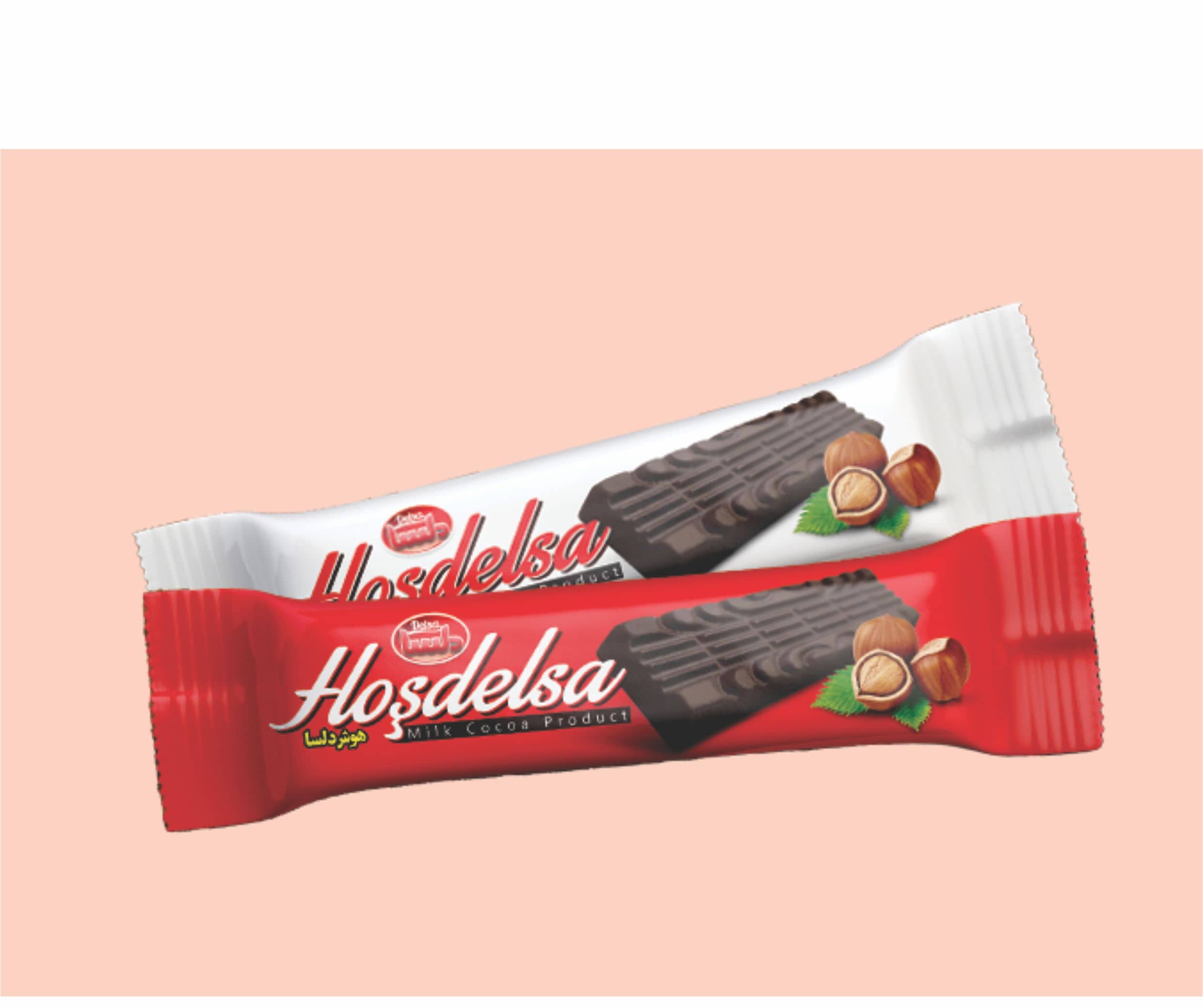 Delsa Classic Milk Cocoa Bar Hazelnut Flavor