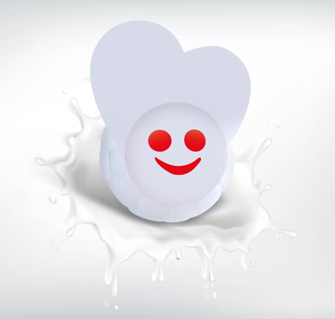 Vanilla Milk Pasteurized & Homogenized Ball Ice Cream