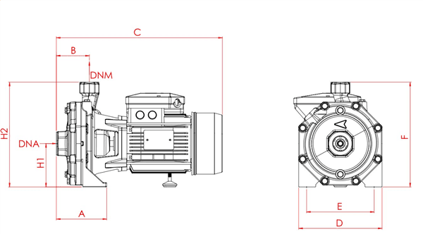 Single-phase induction domestic water pump - CR71M2C .75 CM100