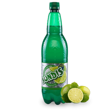 SUNDIS Assorted Sparkling Fruit Drinks 1 Liter PET Bottle