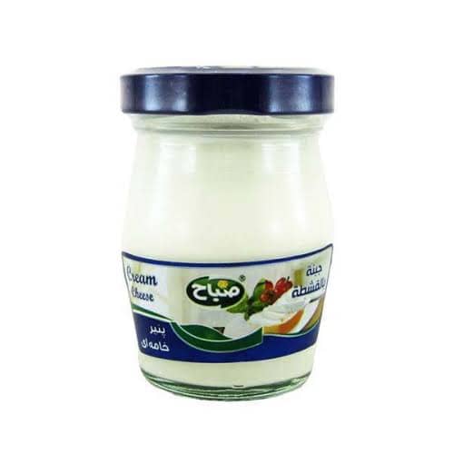 Jarred Pasteurized Cream Cheese (140-240-450 gr)