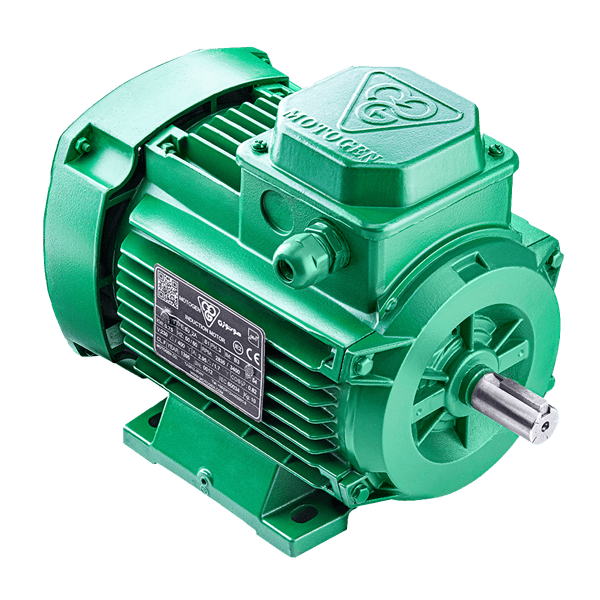 Three-phase induction electromotor, single-turn, aluminum frame 63M2A .18-3000 54F 220/380 B35 IE4