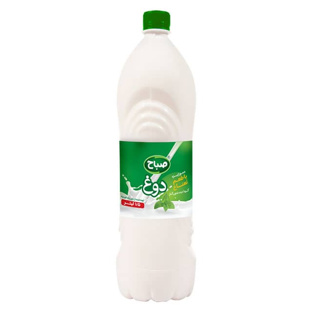 Traditional Iranian Mint Yogurt Drink (Doogh)(Kefir&Fermented)