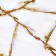 Negin Ceramic Tile