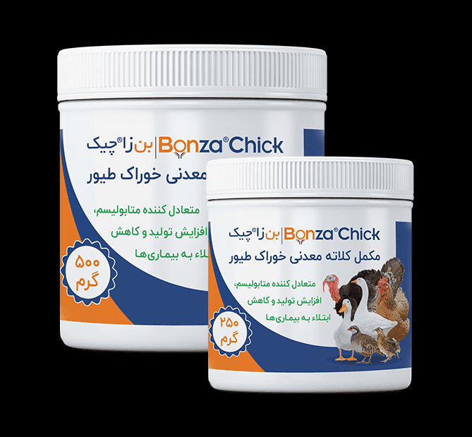 Bonzachick