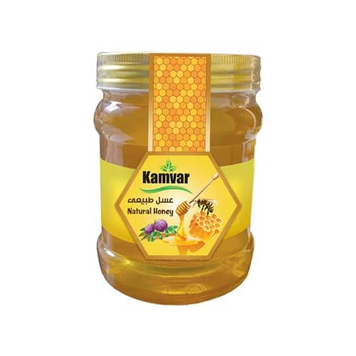 Natural Honey No Added Sugar (Kamvar Brand)