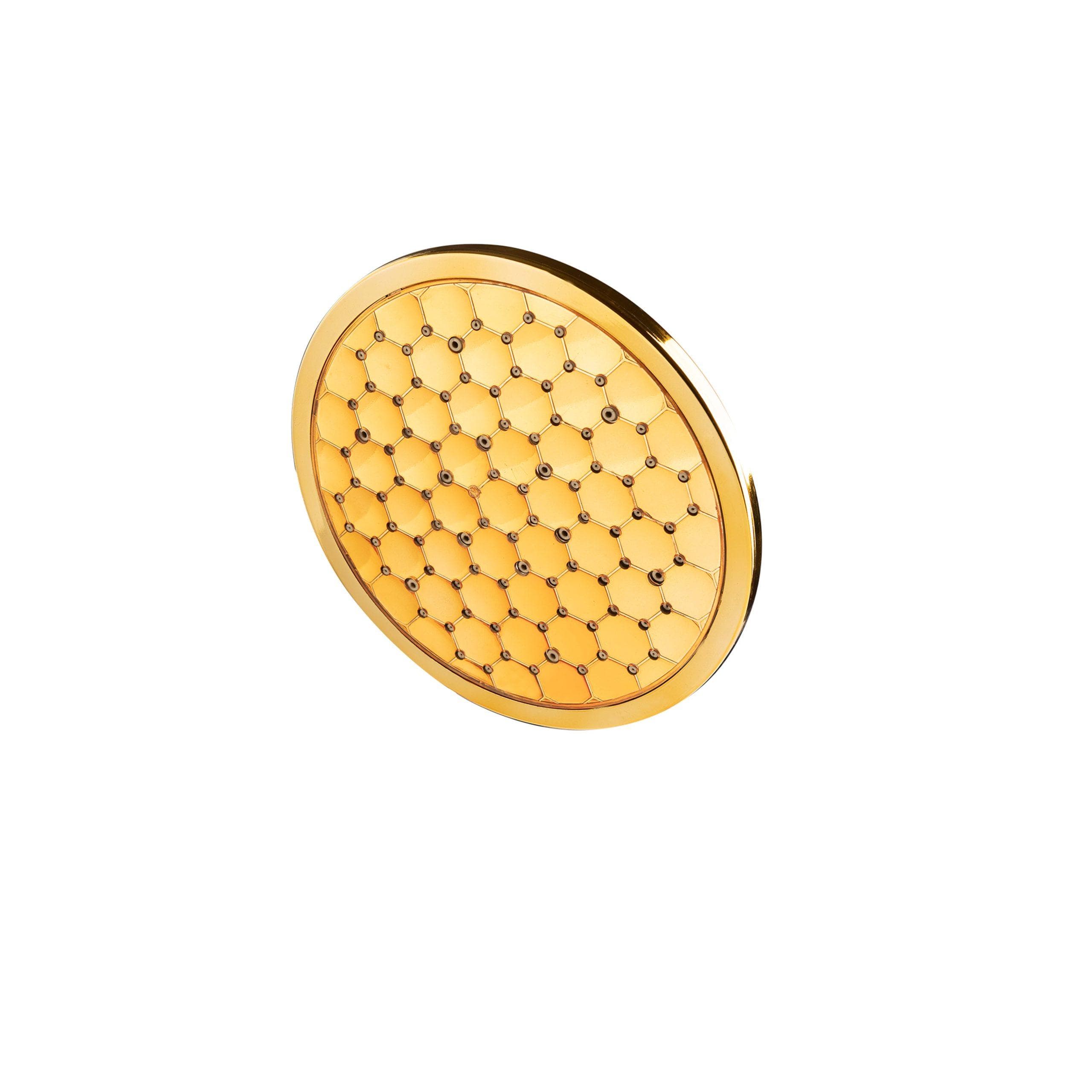 Handheld Shower Head