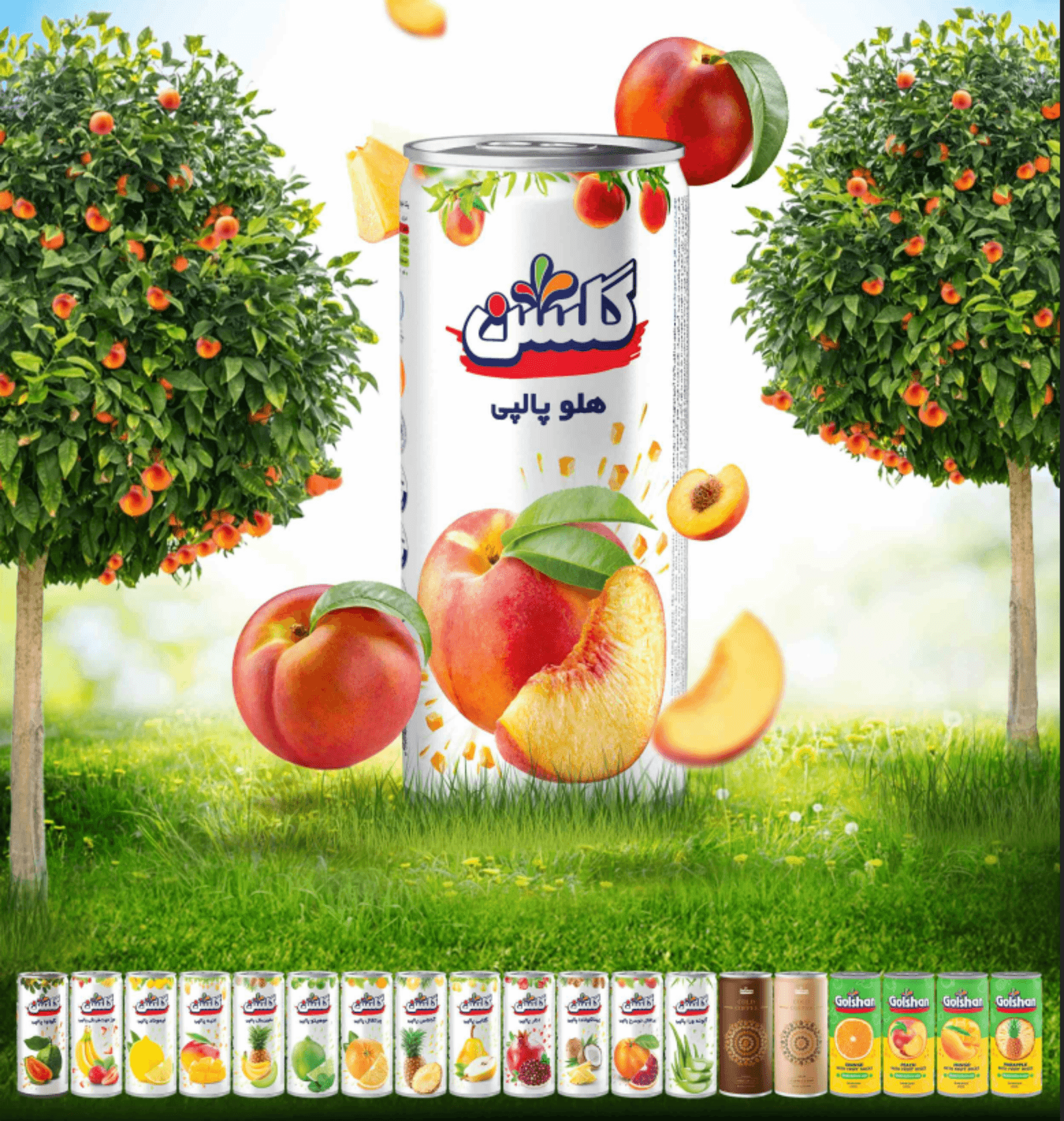 Golsun Peach Juice Drink  Aluminum Can