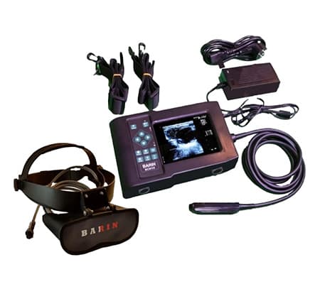 Veterinary ultrasound