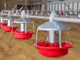 feed transportation system