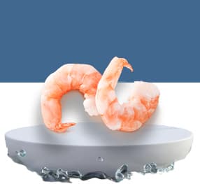Frozen Peeled Shrimp