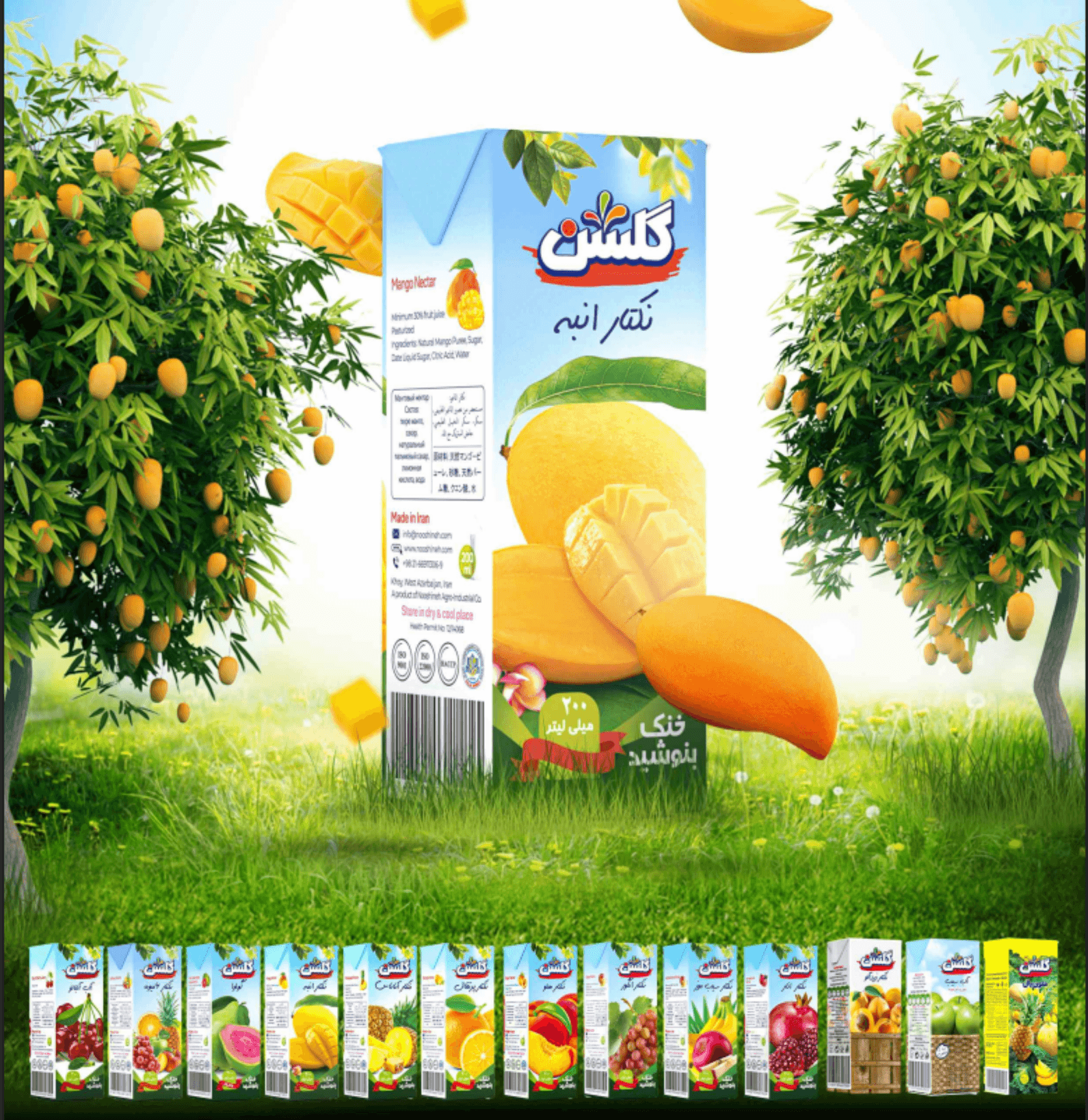 Golsun Mango Juice Drink  Aseptic Carton