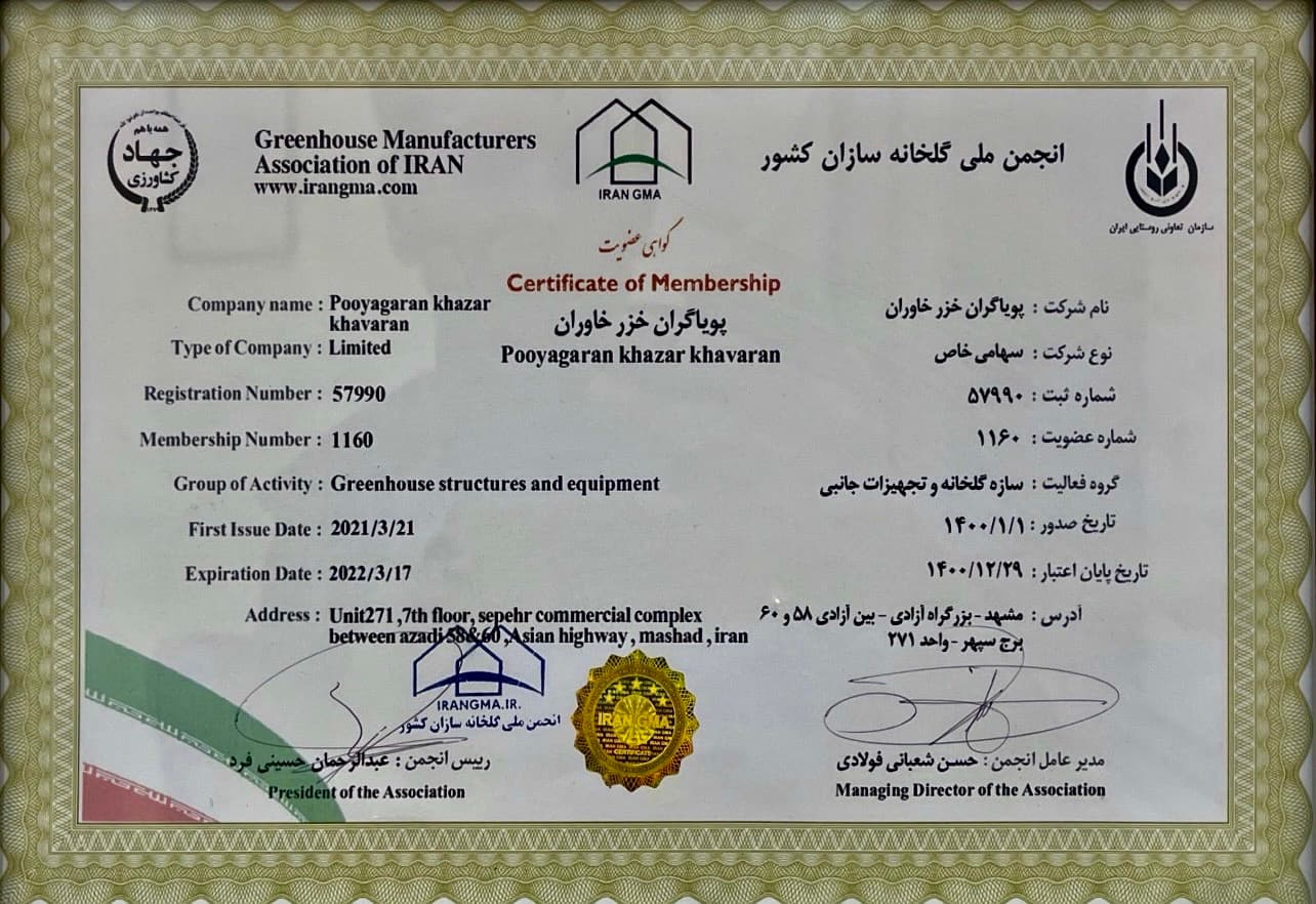 certificate-image