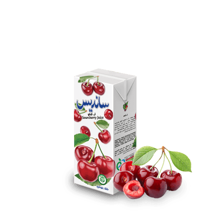 Sanariss Assorted Fruit Nectar 200 ml Tetra Pak