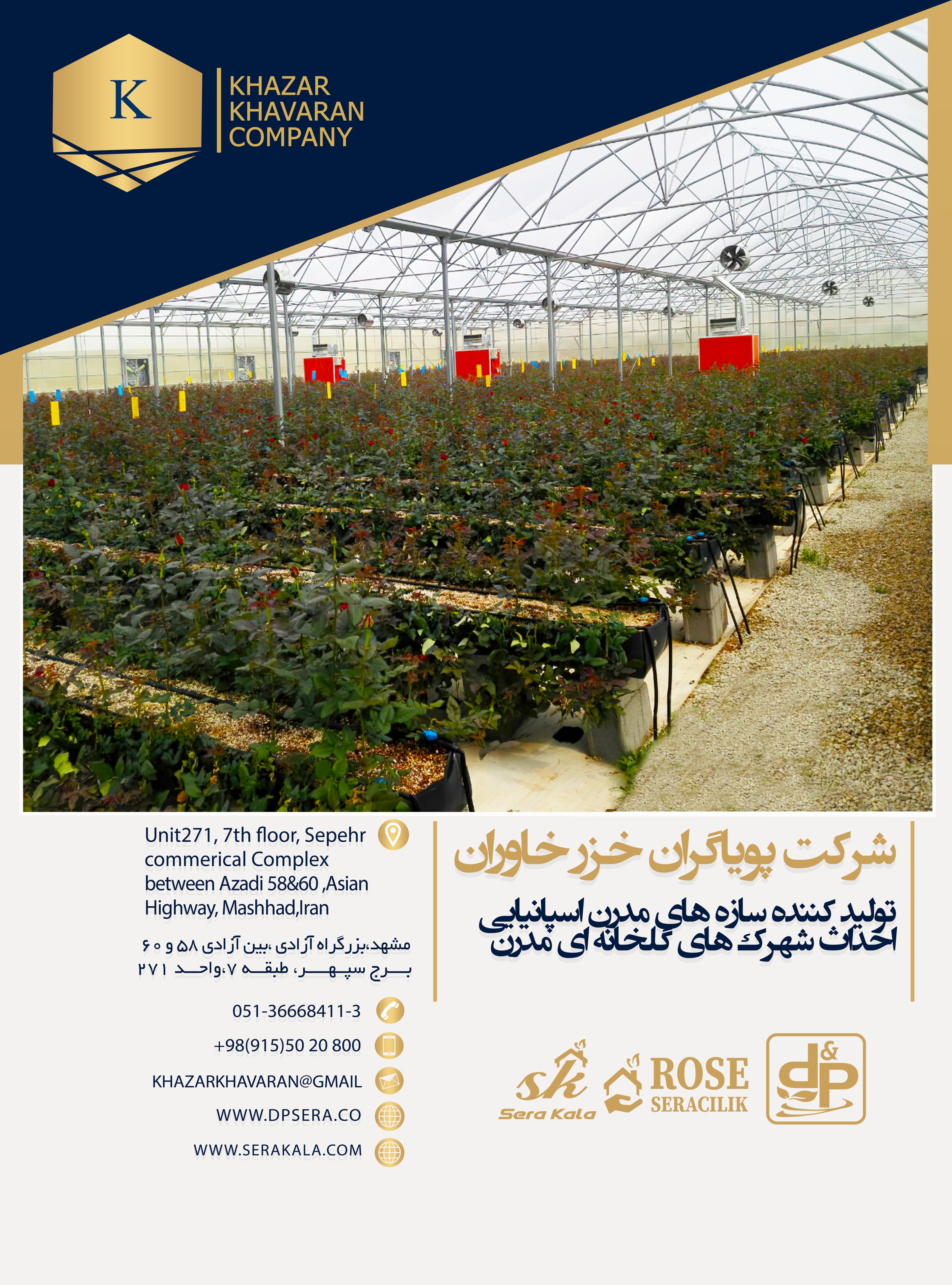 certificate-image
