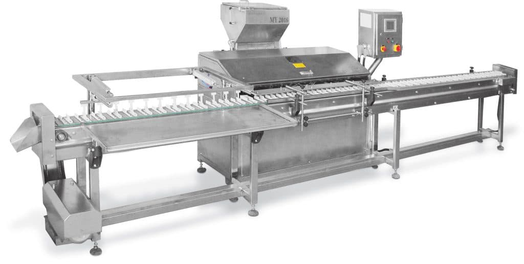 Industrial Food Injection & Depositing Machine (Automatic Injection System)