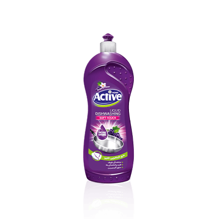 Active Dishwashing Liquid Silver Series 750gr