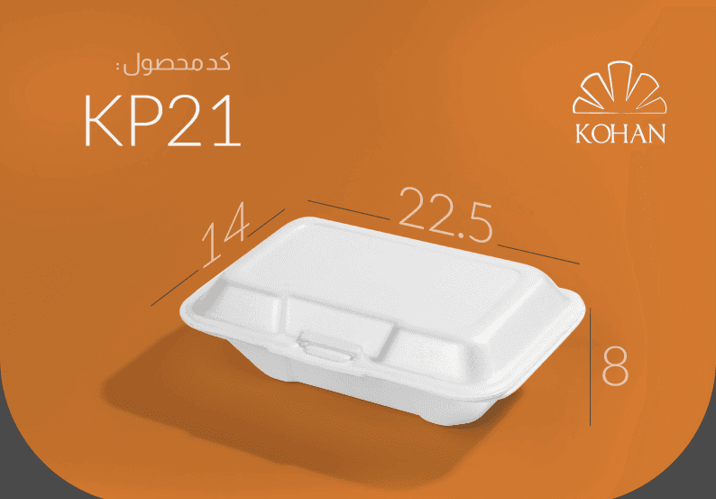 LUNCHBOX FOAM CONTAINER
