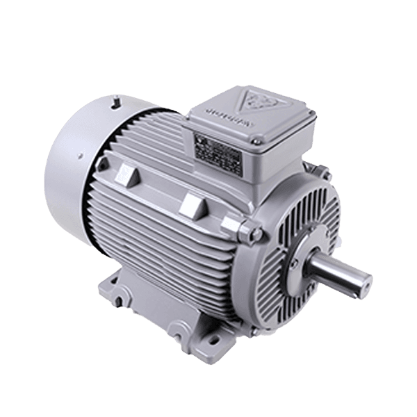 Single-speed three-phase induction electromotor with cast iron frame 225M2 45-3000 55F 380/660 InDu