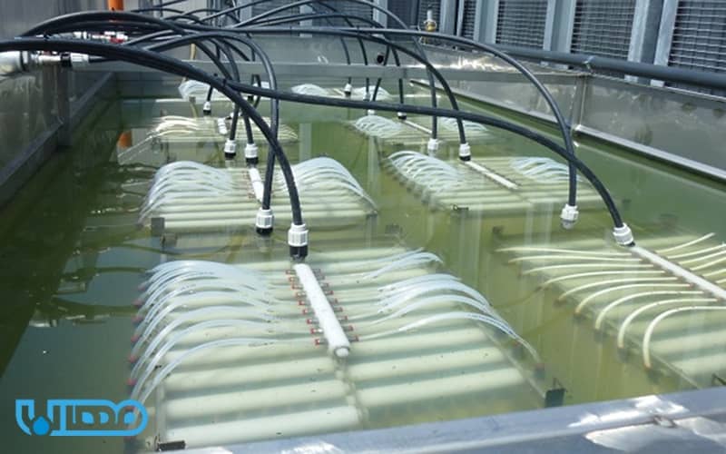 Membrane filter for water purifier