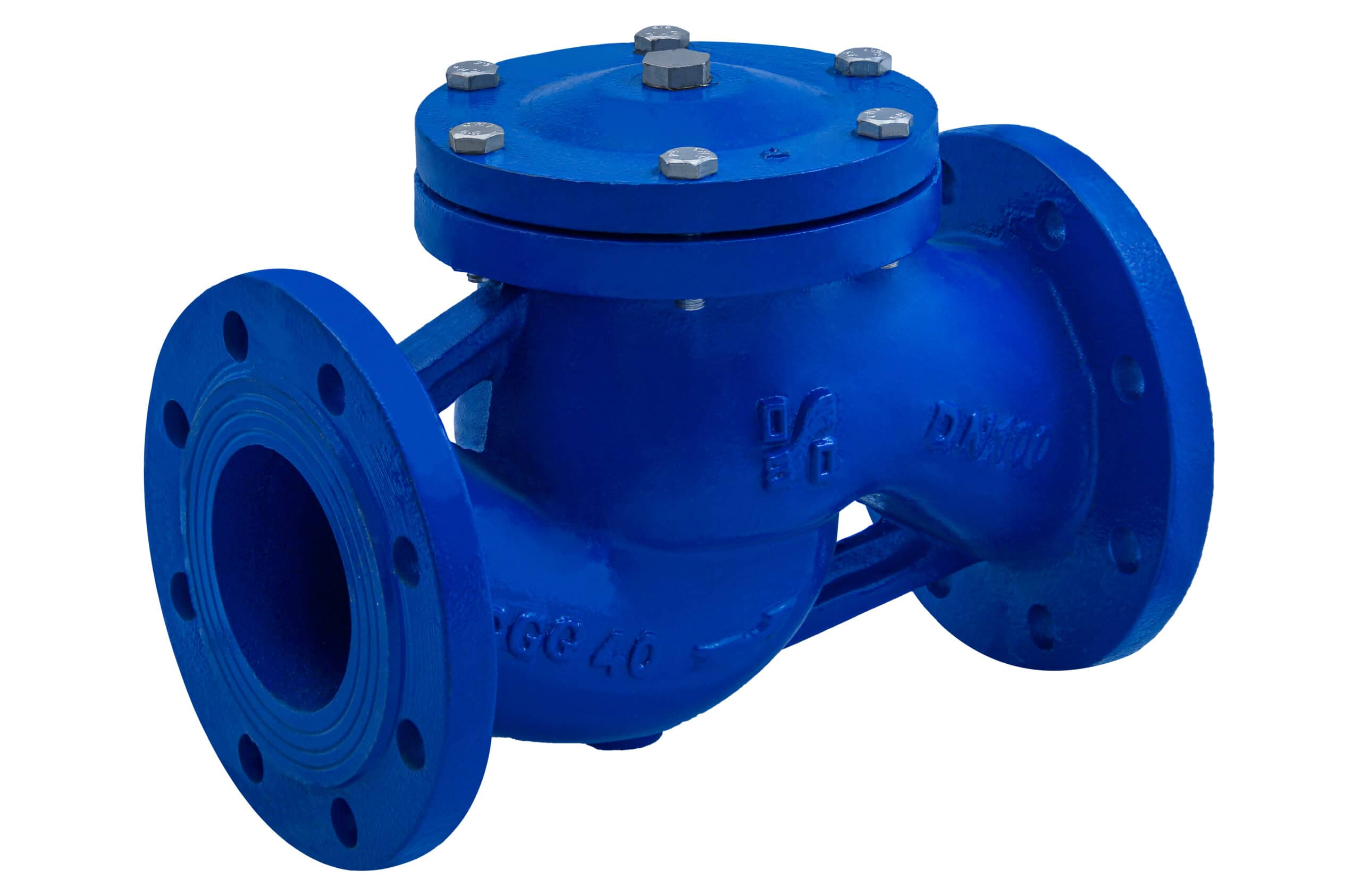 Valve steam filter