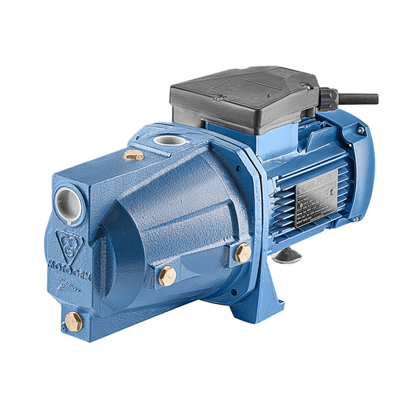 Single-phase induction domestic water pump - CR71M2C .75 CAM100