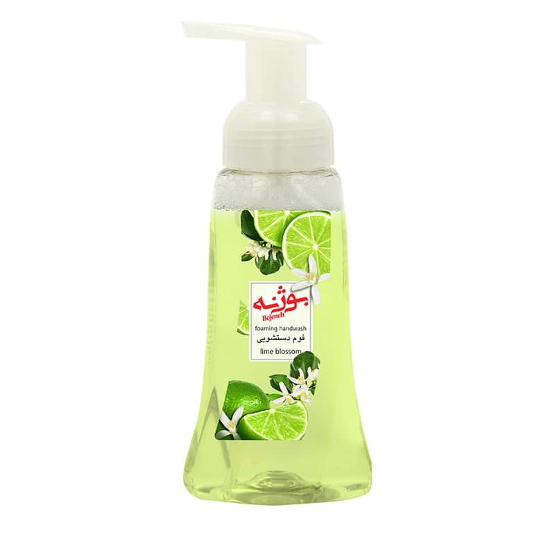 Foaming Hand Soap- In 5 Fragrances