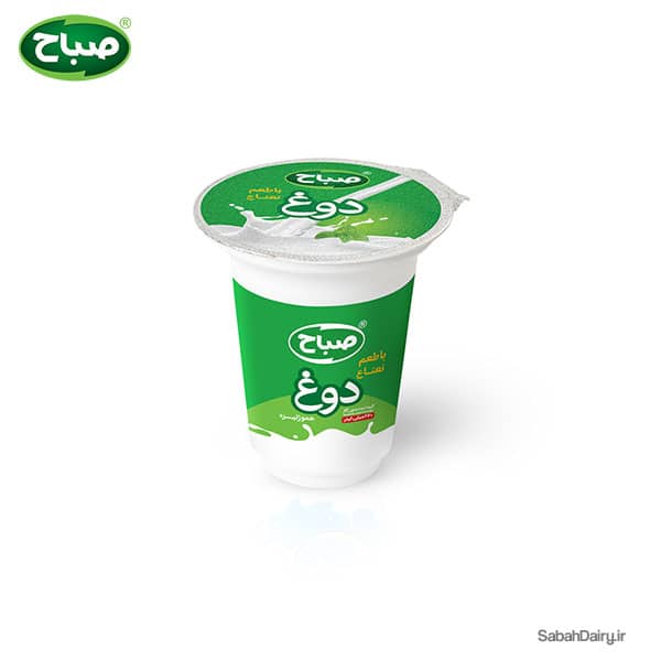 Traditional Iranian Mint Yogurt Drink (Doogh)(Kefir&Fermented)
