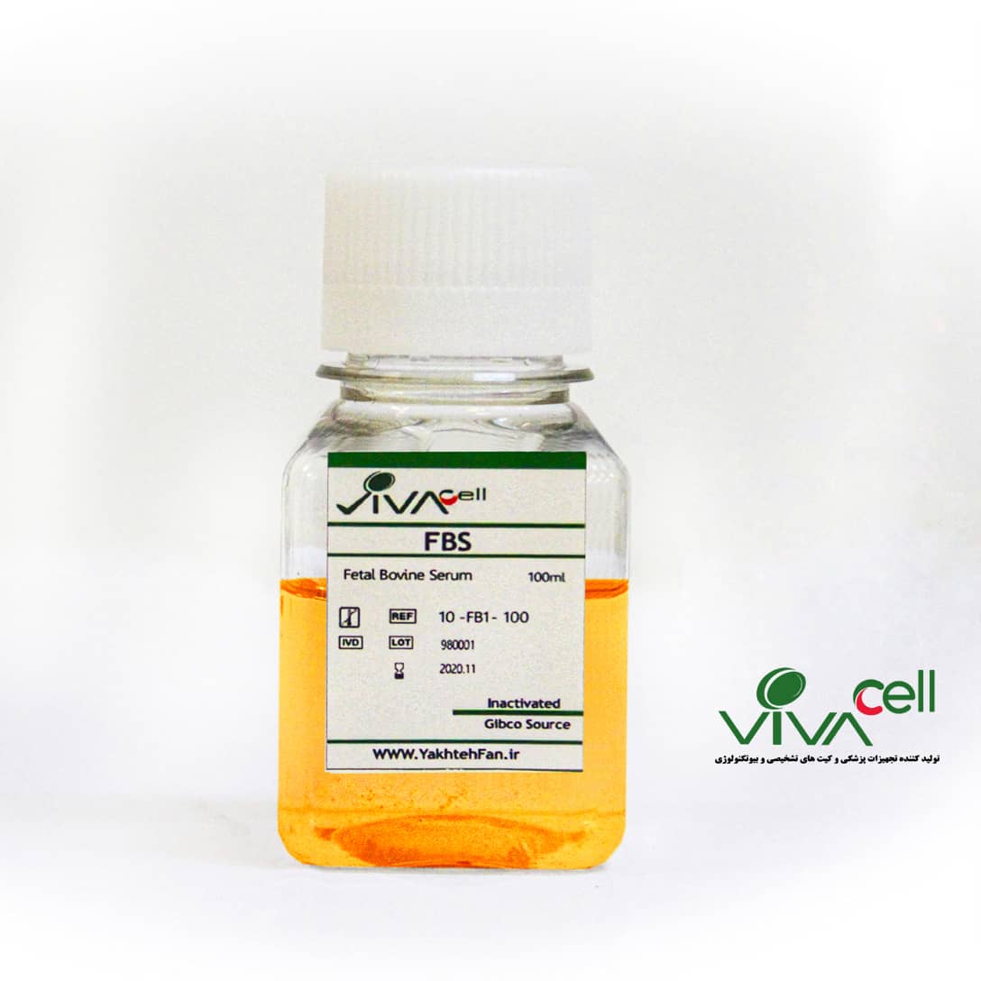 Fetal Bovine Serum (FBS) Inactivated