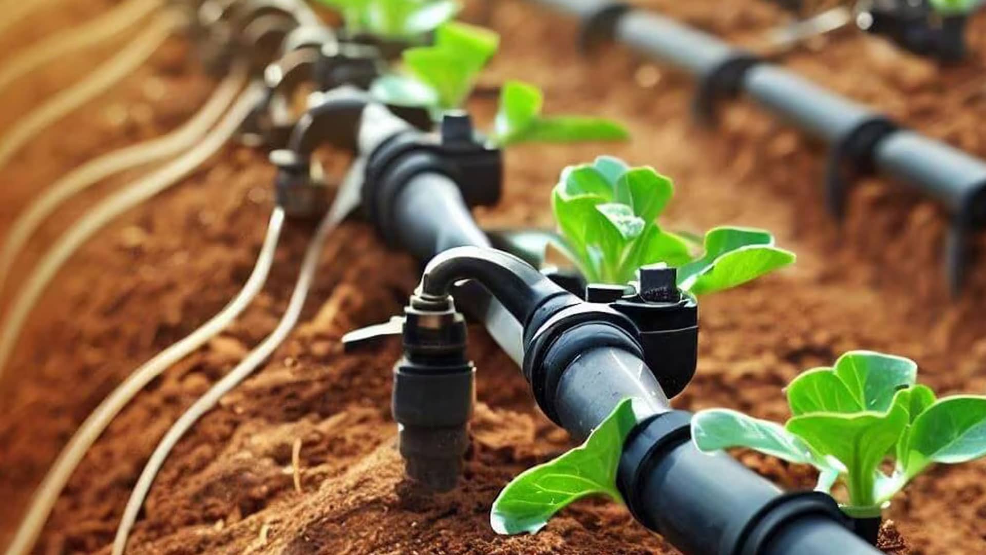 Drip Irrigation Polyethylene Lateral Pipes (LDPE / PE32 / PE40)